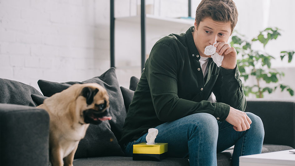 Purchasing an air purifier is one of the top methods to boost your home’s indoor air quality. Learn more about the three top solutions. 