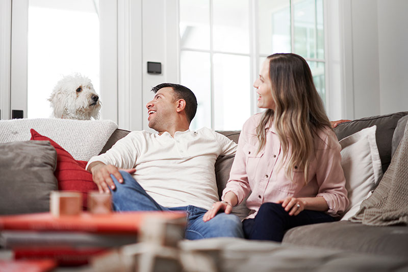 Is It True Air Purifiers Help with Allergies?